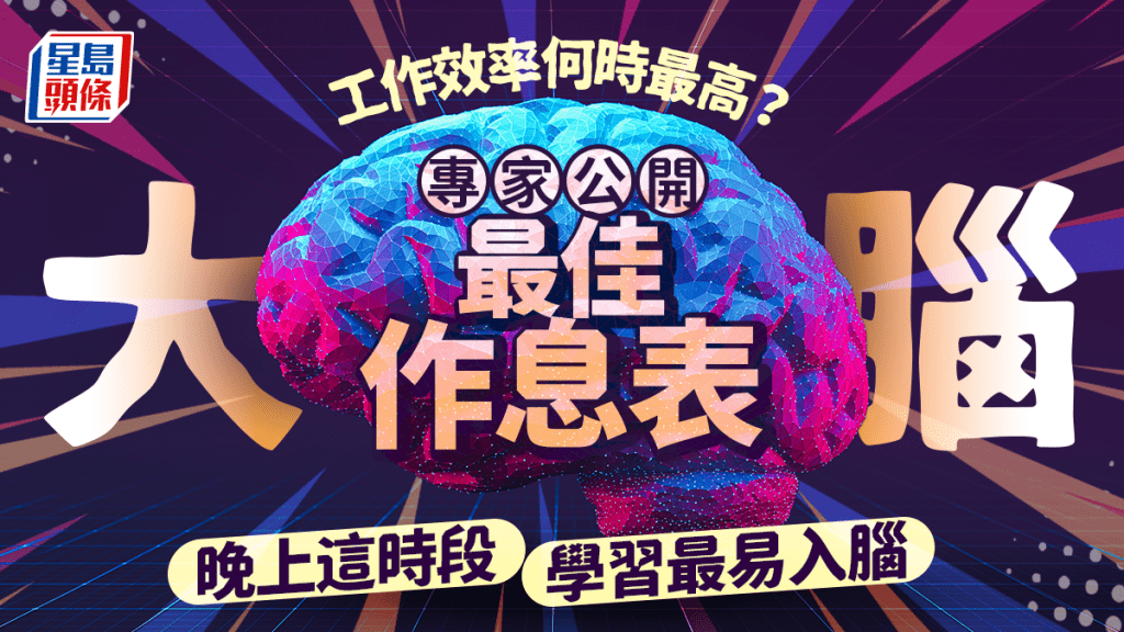 工作效率何時最高?專家公開大腦最佳作息表 晚上這時段學習最易入腦