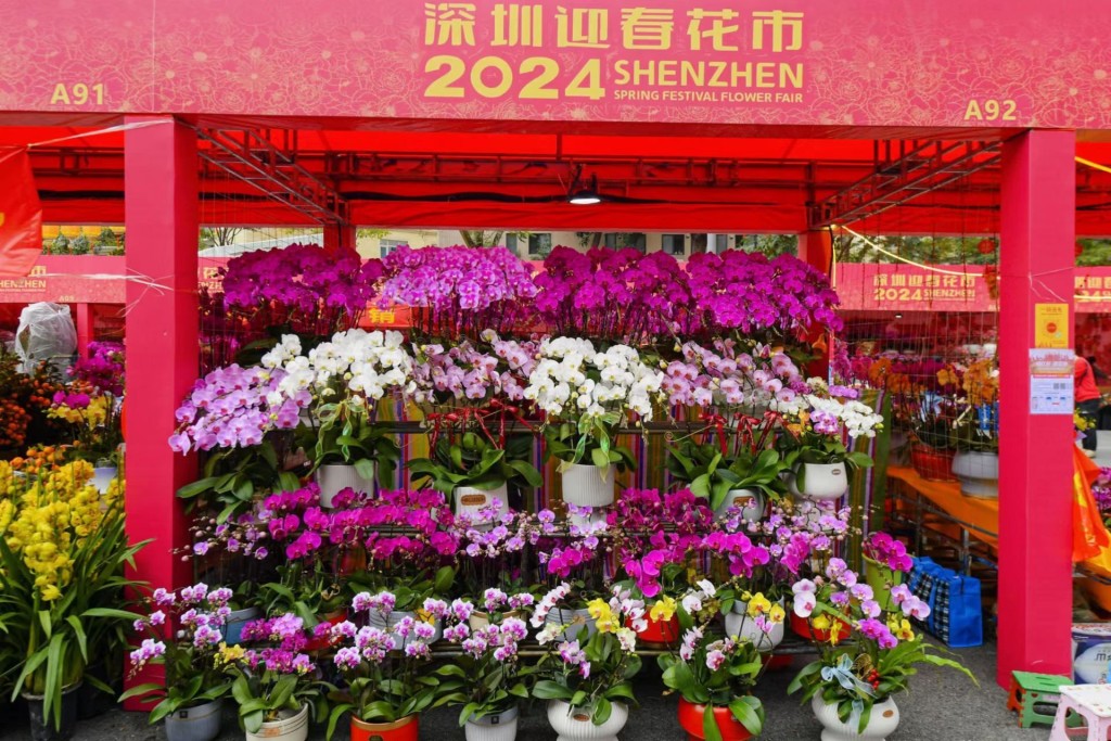 深圳愛國路花市約190個花卉售賣展位，包括各種寓意吉祥的年宵花。