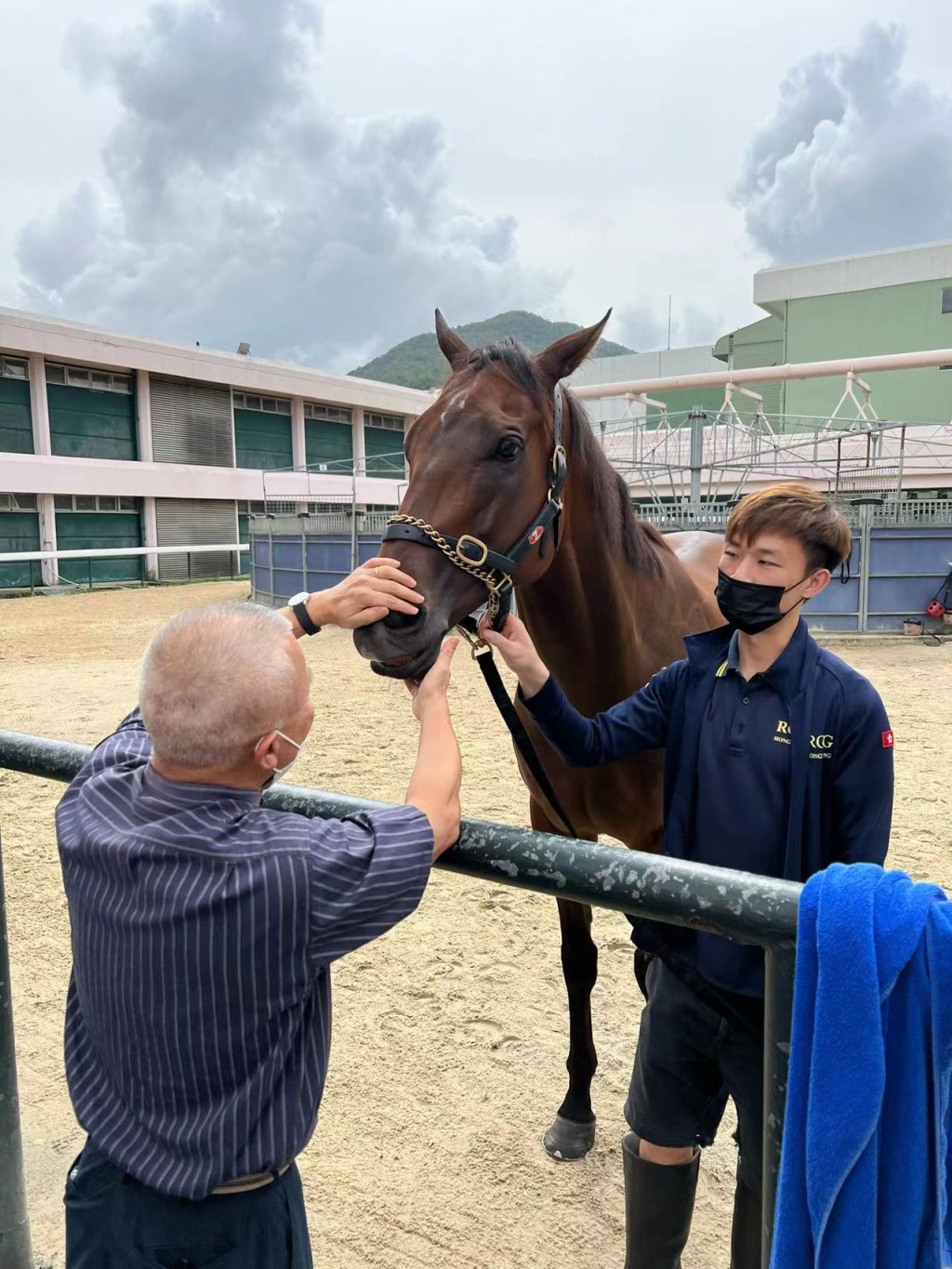 「福逸」曾患上左前腿肌腱炎，全靠高伯新馬房團隊的悉心照料，才得以好轉。