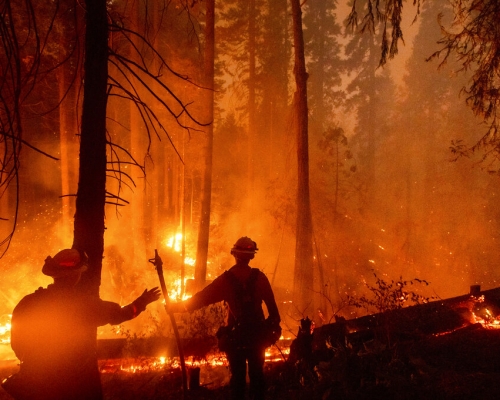 「小溪山火」(Creek Fire),迄今已延燒近320平方公里土地,且火勢目前遠未受控。AP