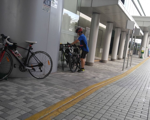 單車女大欖郊野公園撞樹重創不治。