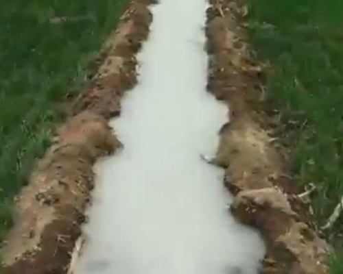 石家庄一个水井被揭发流出「牛奶水」。网图