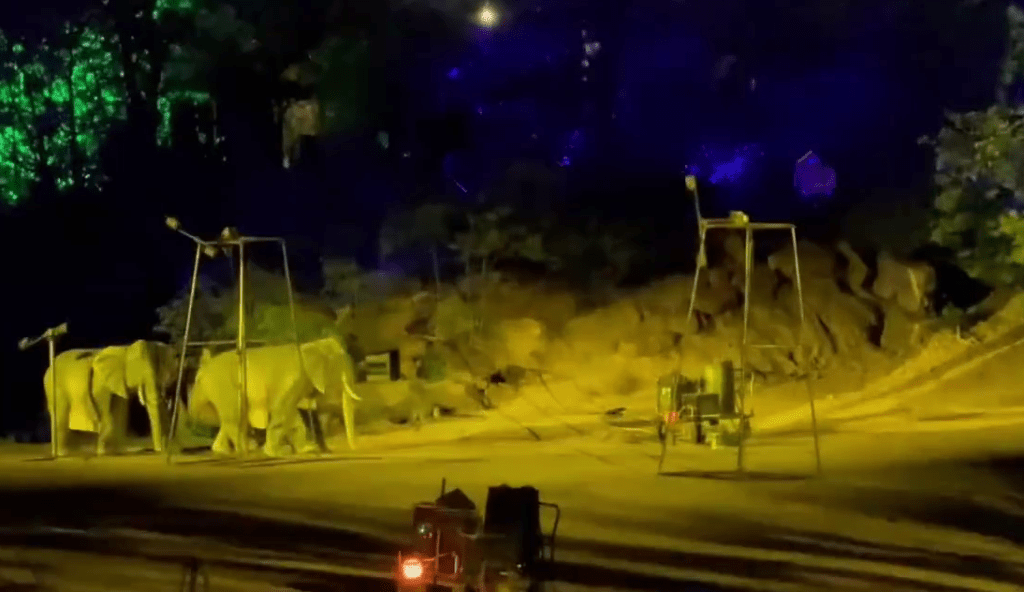 南萬歲山武俠城「打鐵花」表演中，兩隻登場的「大象」穿崩露人腳。 微博