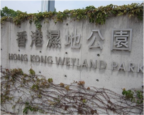 濕地公園。資料圖片