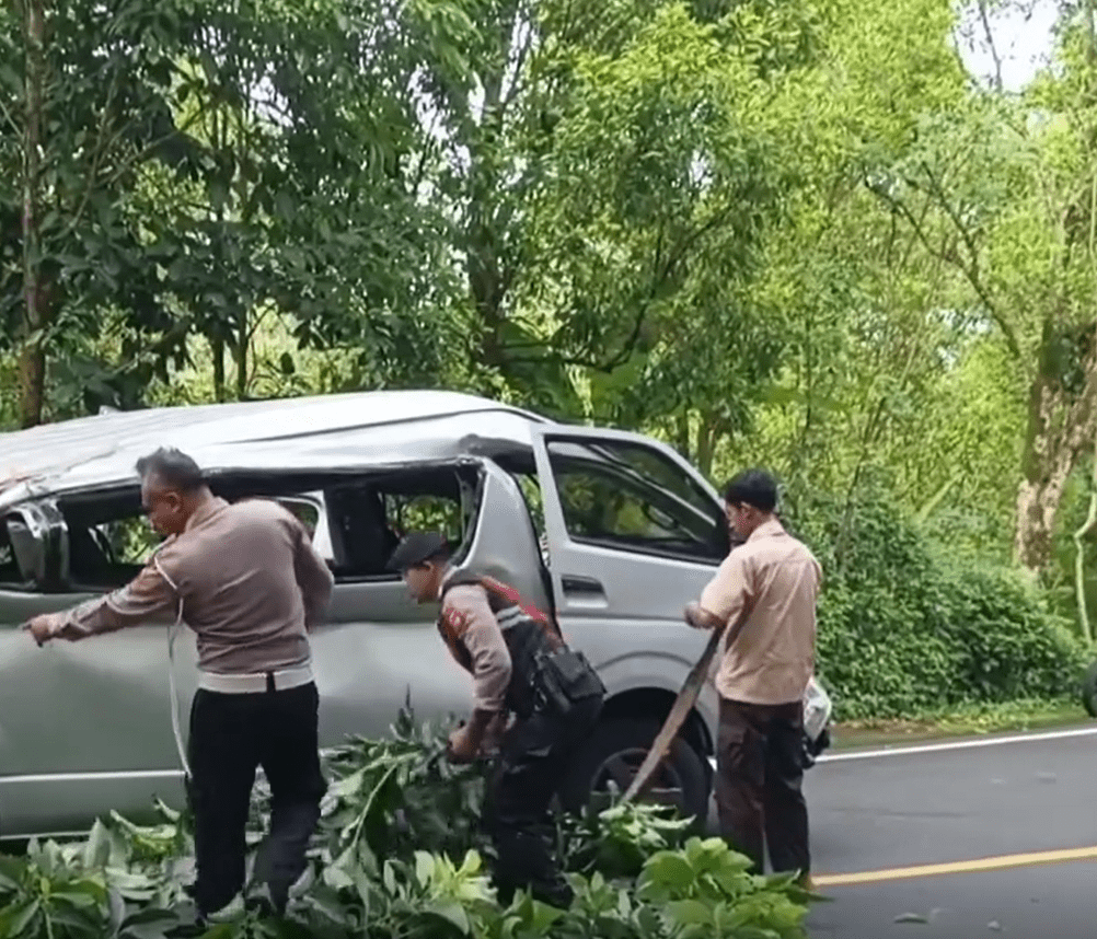 工作人員清走車輛附近樹枝。Threads@info_baturiti 工作人員清走車輛附近樹枝。Threads@info_baturiti