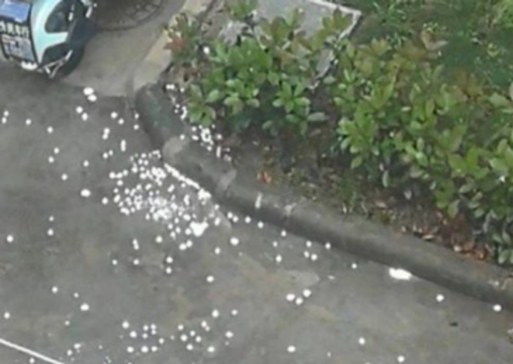 街道上被投放大量消毒片。網圖