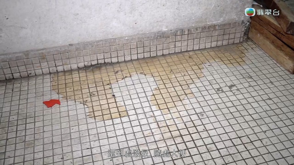 疑為尿液。 疑為尿液。