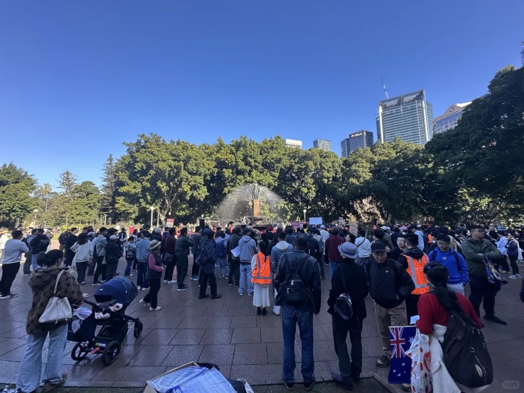 澳洲举行“停止青少年暴力”游行。小红书@Mini dog