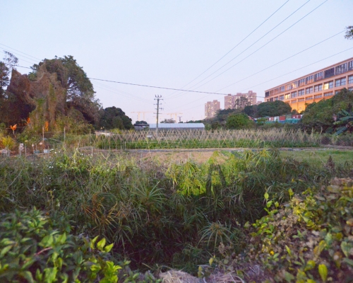 屯門第54區地。 資料圖片