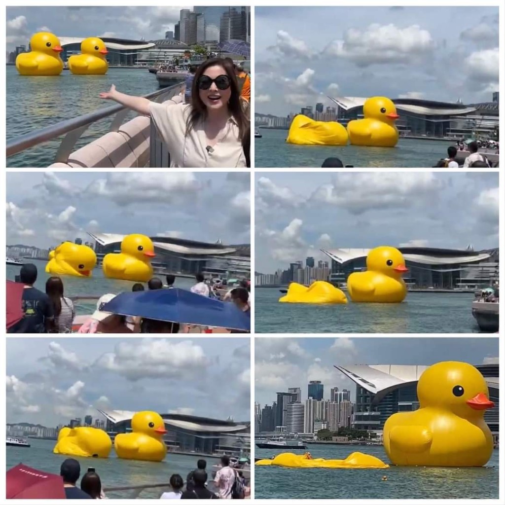 最愛香港嘅李婉華返港後響應追黃鴨潮，去到打卡位目擊變片皮鴨過程。