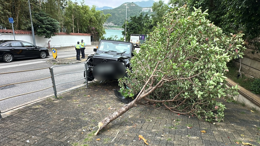 車頭撞斷樹。