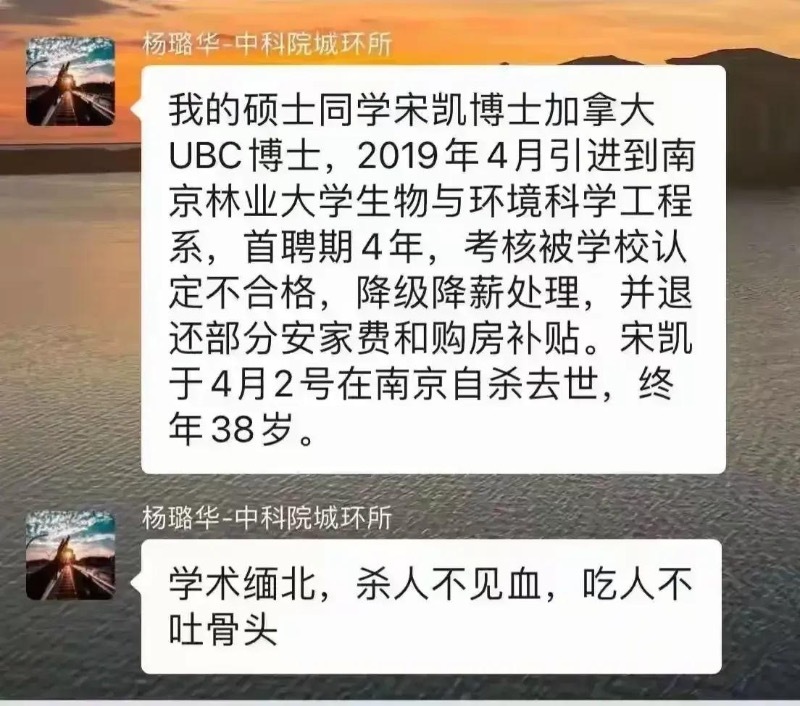 南京林業大學青年副教授宋凱自殺引起關注。