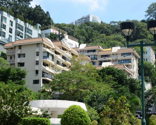 財團天價拔釘，每呎6萬購東半山豐景台。