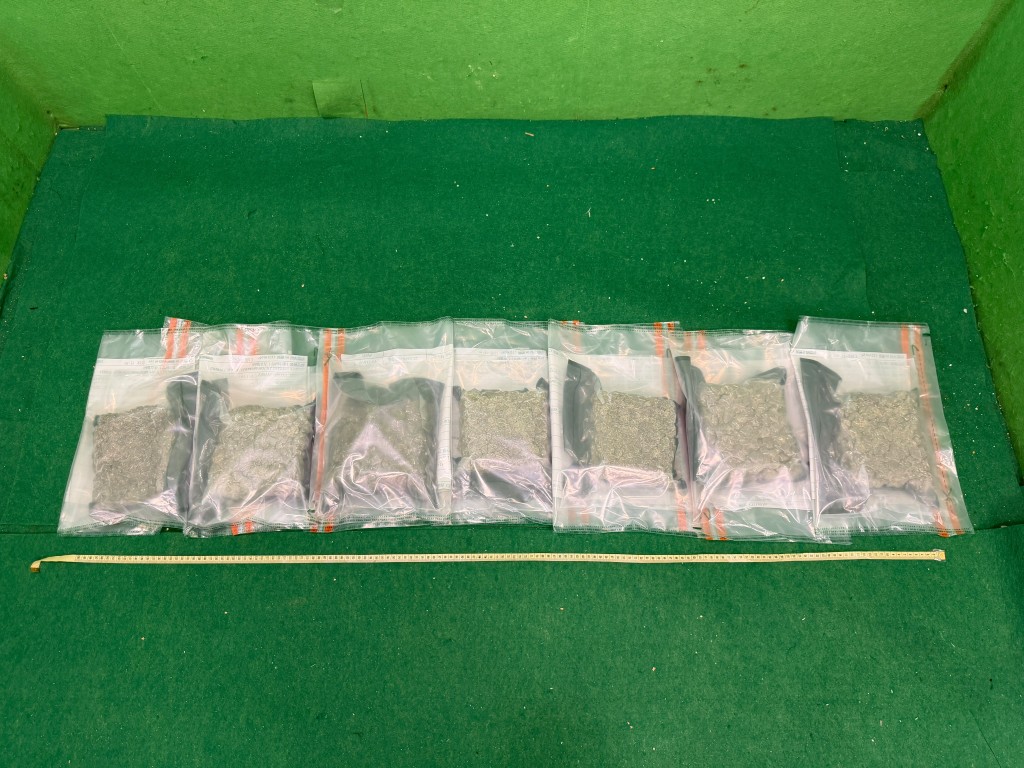 首宗案件藏于行李的大麻。海关图片 首宗案件藏于行李的大麻。海关图片