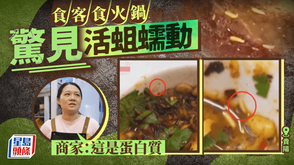 貴陽陳女士竟發現五六只活蛆在蘸料碗裏蠕動