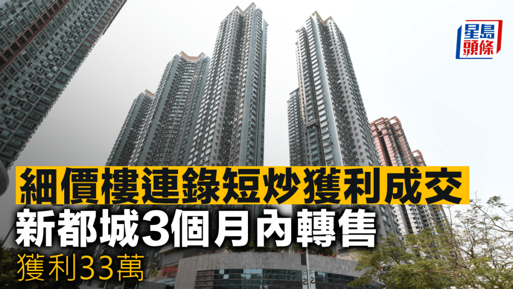 細價樓連錄短炒獲利成交 新都城不足3個月轉售 帳賺33萬