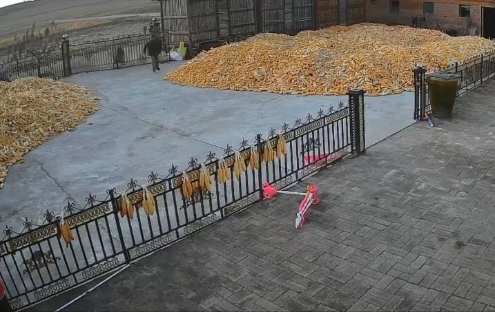 老虎猛撞閘門。