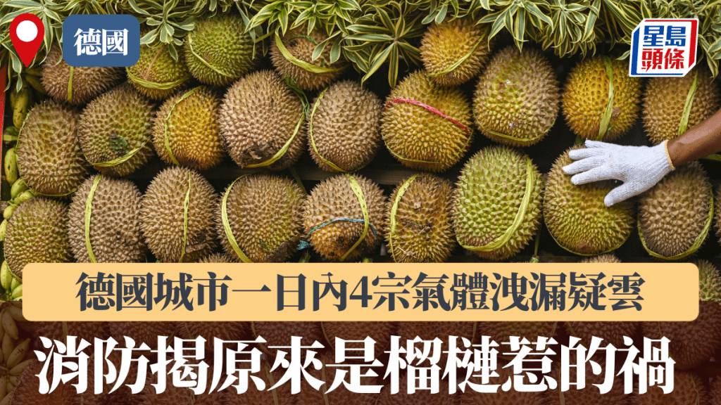 德國城市一日內4宗氣體洩漏疑雲，消防揭原來是榴槤惹的禍。法新社資料圖片