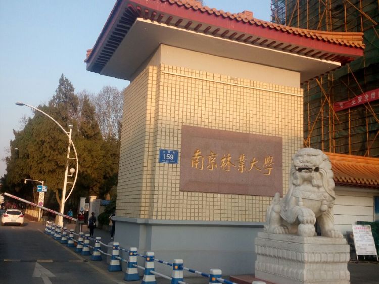 南京林業大學。