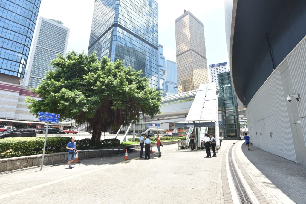 現場為政總外近添美道行人路。