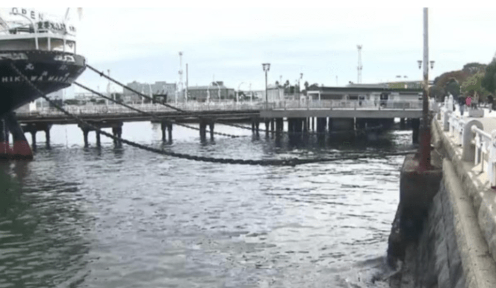 日本橫濱市著名景點山下公園鄰近橫濱港的岸邊，日前發現一具僅剩上半身、無頭且無下半身的女性屍體。FNN畫面截圖