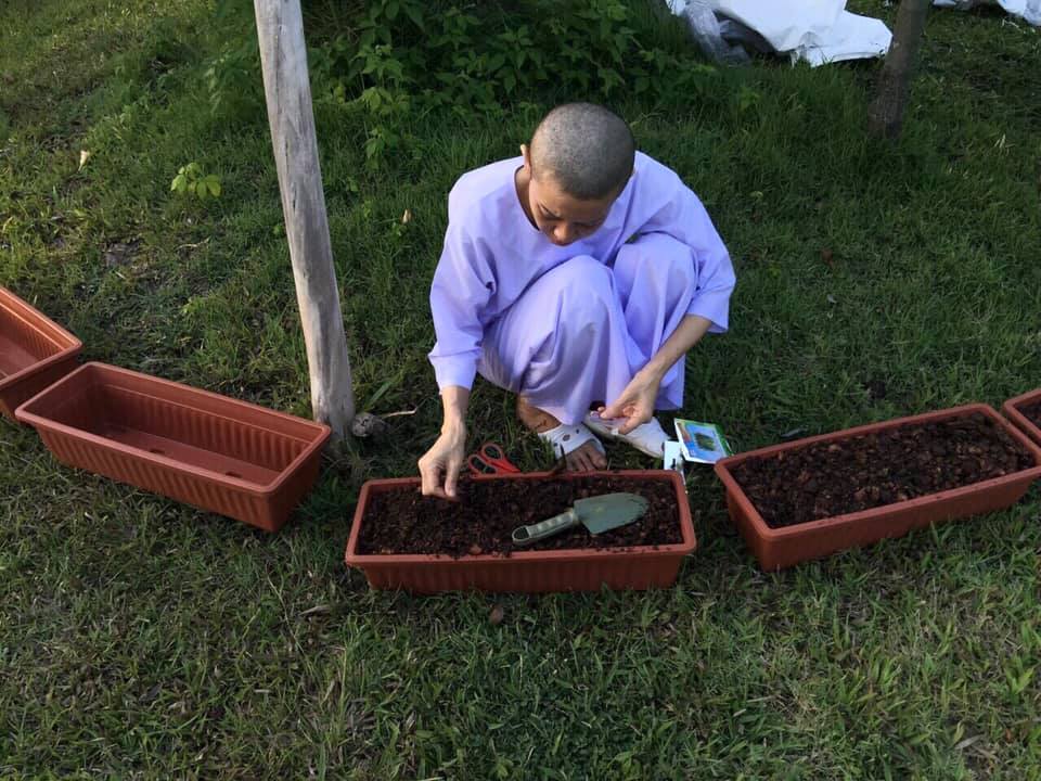 西拉米在寺院念經種菜度日。網上圖片