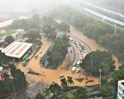 大埔南運路一帶大面積水浸。網民Fan Si Fan圖片