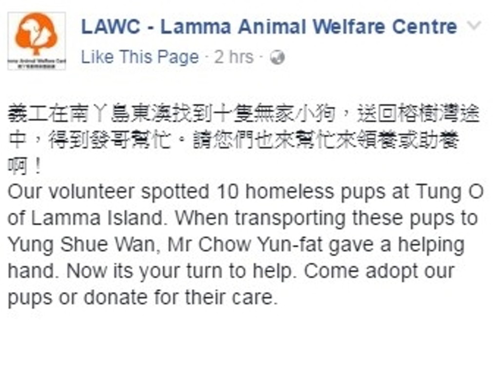 2017年一個南丫島動物保護組織在Facebook分享發哥在碼頭主動幫手推車仔，送多隻流浪狗仔上岸。