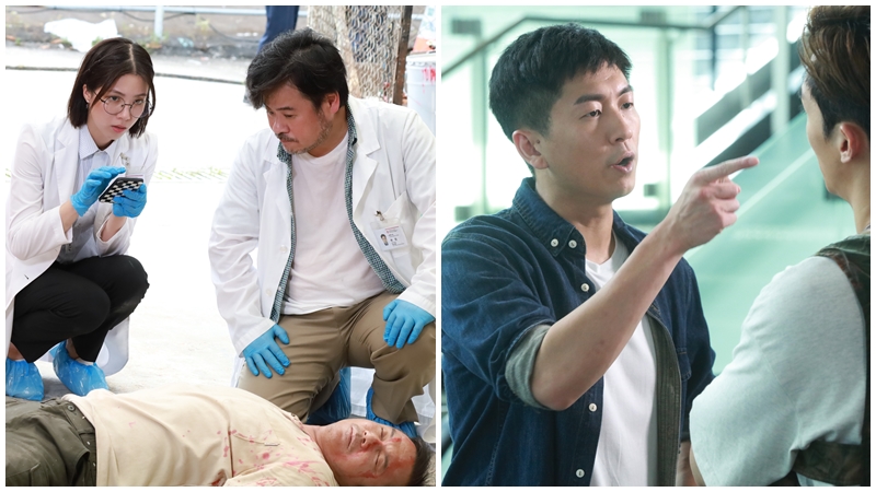 死有对证剧情懒人包丨陈晓华化身强迫症法医  解剖闺密吴若希  联手马贯东破奇案