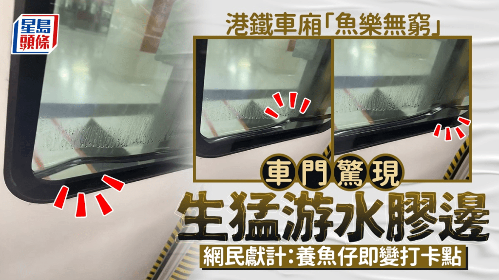 港鐵車廂「魚樂無窮」 車門驚現生猛游水膠邊 網民獻計:養魚仔即變打卡點|Juicy叮 港鐵車廂「魚樂無窮」 車門驚現生猛游水膠邊 網民獻計:養魚仔即變打卡點|Juicy叮