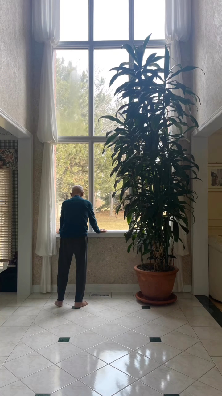 彭羚上月剪辑影片悼念父亲，其中一张照片摄于家中窗前，彭羚父亲背对镜头，看着窗外景色。