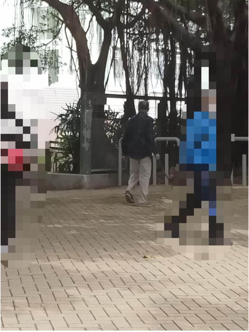 男子涉嫌襲擊唐狗。專頁「東涌喵 Tung Chung Cat Future」圖片