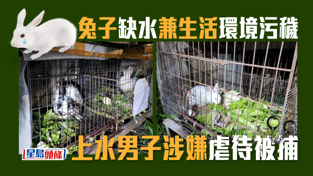 兔子被困於露天放置的鐵籠，衞生情況惡劣兼沒有足夠食水。 警方提供