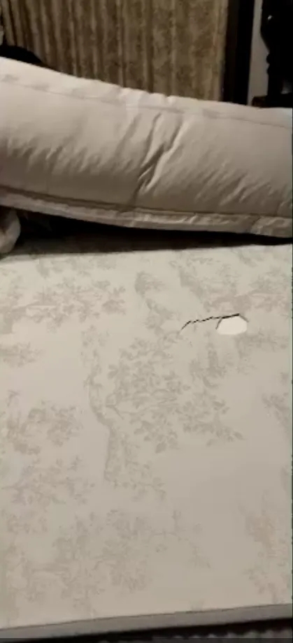 事发床铺画面截图。