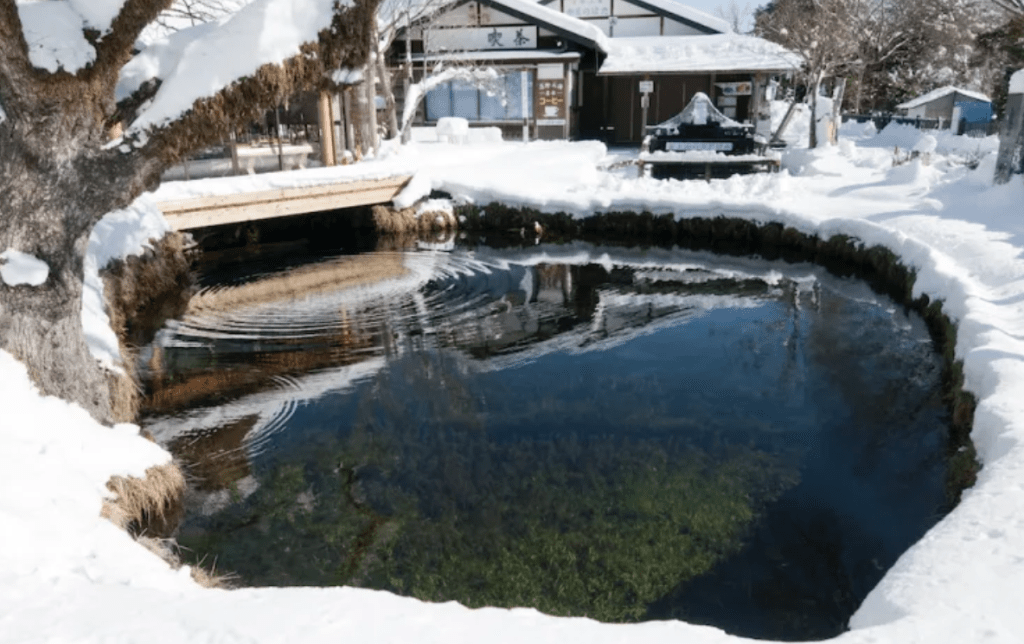 「忍野八海」的水源來自富士山的伏流水，一向以清澈見底、呈夢幻藍綠色著稱。日本國家旅遊局圖片