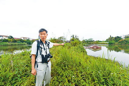香港濕地保育協會創辦人兼執行董事、世界自然保護聯盟陸龜及淡水龜專家組成員劉惠寧表示，儘管香港只剩下少數殘存淡水龜種群，但這些小種群可能是整個亞洲最健康的種群之一。資料圖片