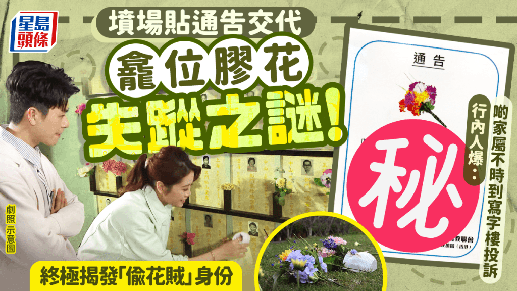拜山膠花頻頻不翼而飛？殯儀業人士引墳場通告 揭失蹤真相 原來是一場美麗誤會