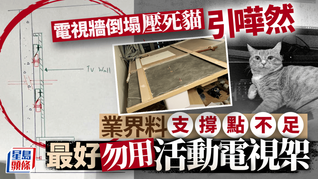 電視牆倒塌壓死貓引嘩然 業界料支撐點不足 最好勿用活動電視架