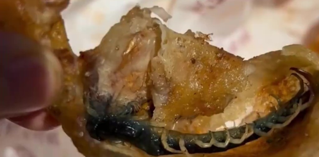 江苏食客吃炸鸡惊见原条蜈蚣。