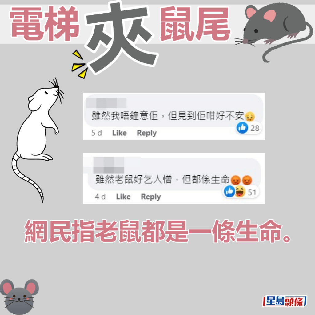 网民指老鼠都是一条生命。fb“屯门友”截图