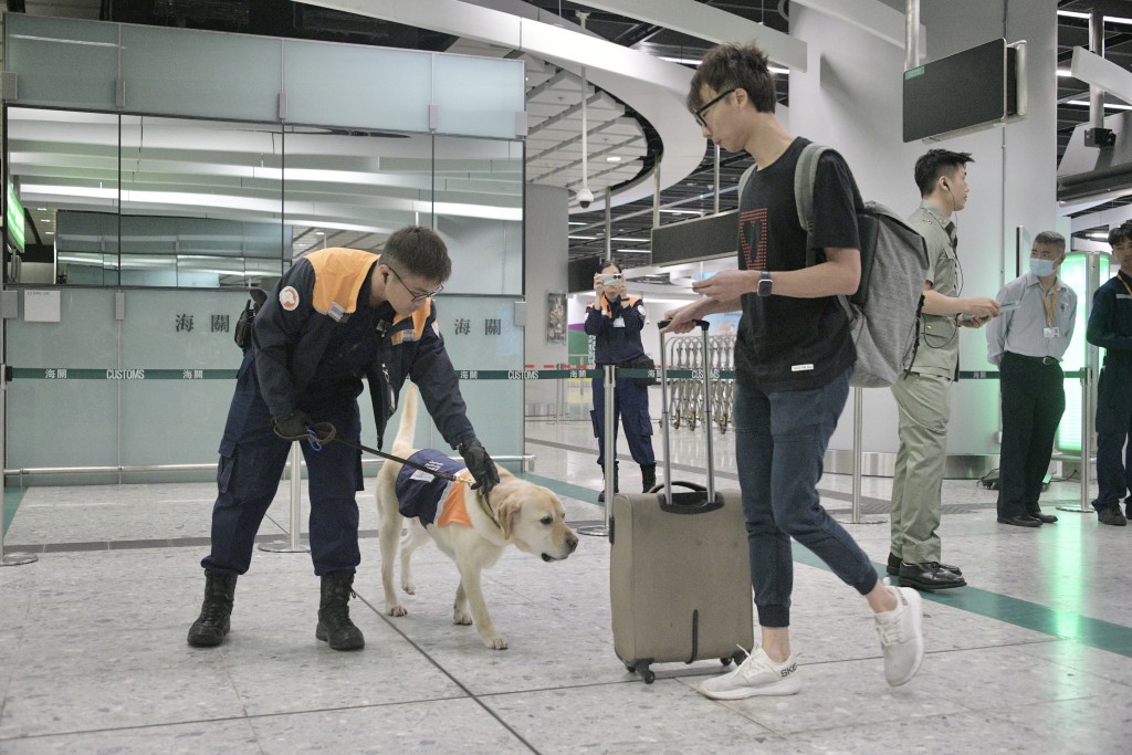 香港海關與食環署聯合行動加強關口巡查走私食品和家禽。陳浩元攝
