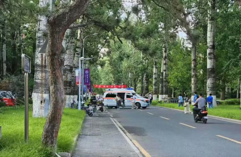 北京學者張愛玲去世,死因傳是在清華被斷樹壓斃。小紅書 北京學者張愛玲去世,死因傳是在清華被斷樹壓斃。小紅書