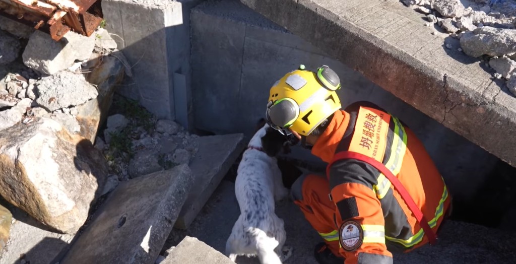 消防處未來搜救犬隊期望從不同渠道增加搜救犬數量。消防處fb