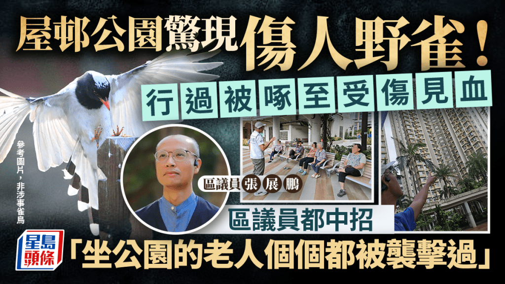 公屋公園驚現傷人野雀！居民被紅嘴藍鵲啄至受傷見血 區議員都中招：坐公園的長者個個都被襲擊過