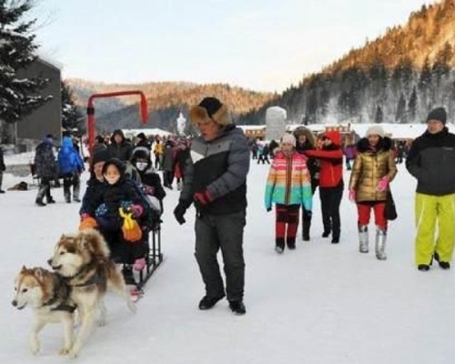 雪橇上坐了三個大人,兩隻狗狗拉得非常吃力。 網上圖片