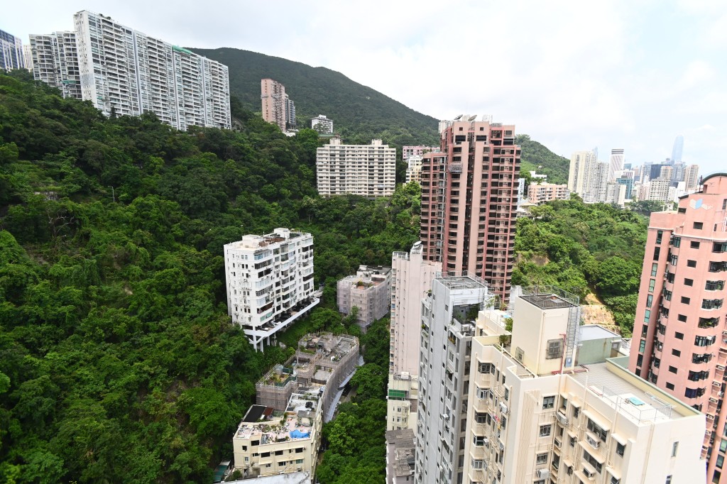 露台外望東半山及司徒拔道的山景,綠意盎然。