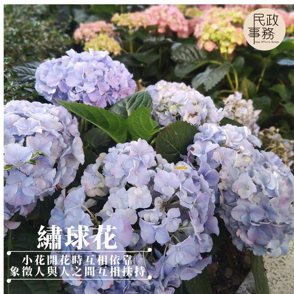 民政事務局FB