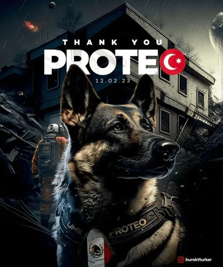 墨西哥搜救犬「Proteo」赴土耳其震災區救援，不幸傳出過世消息，網民特別製作海報表揚追憶。網圖