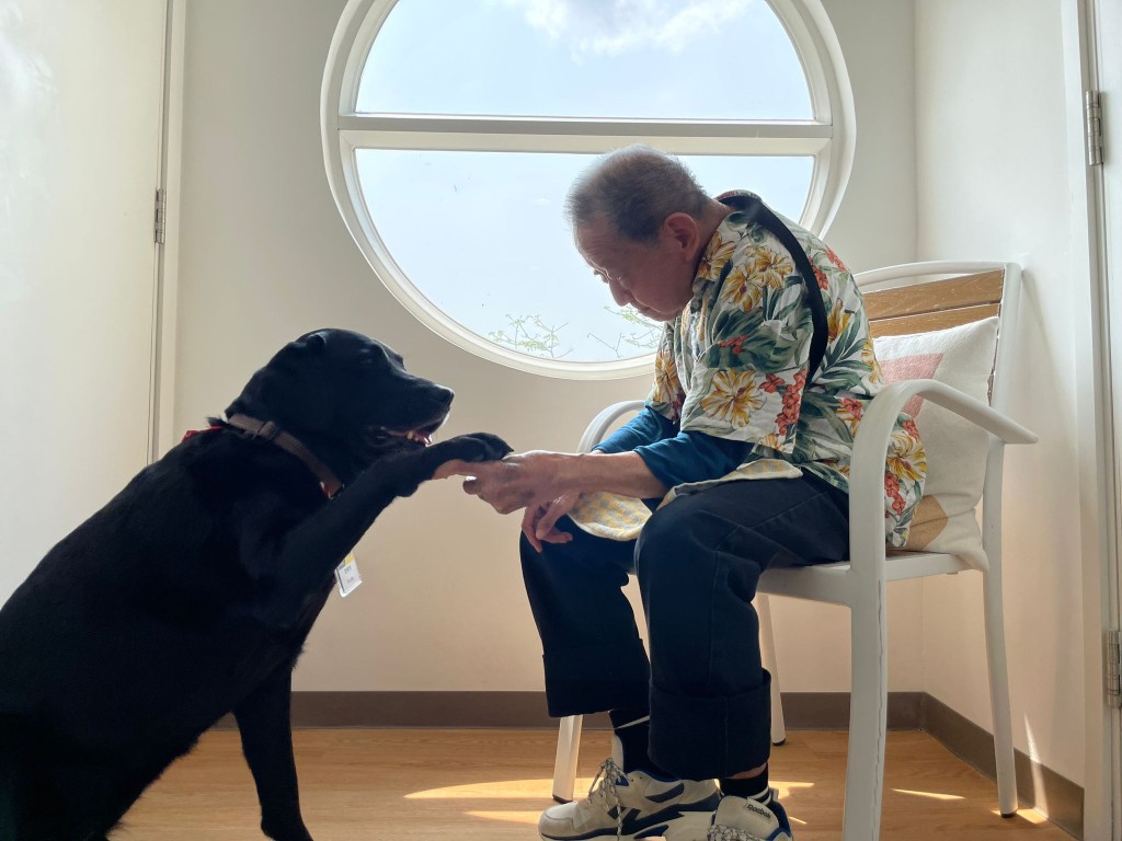 Fruity在領犬員帶領下與83歲院友何鴻昌玩互動遊戲，包括坐下，畀手手。(受訪者提供)