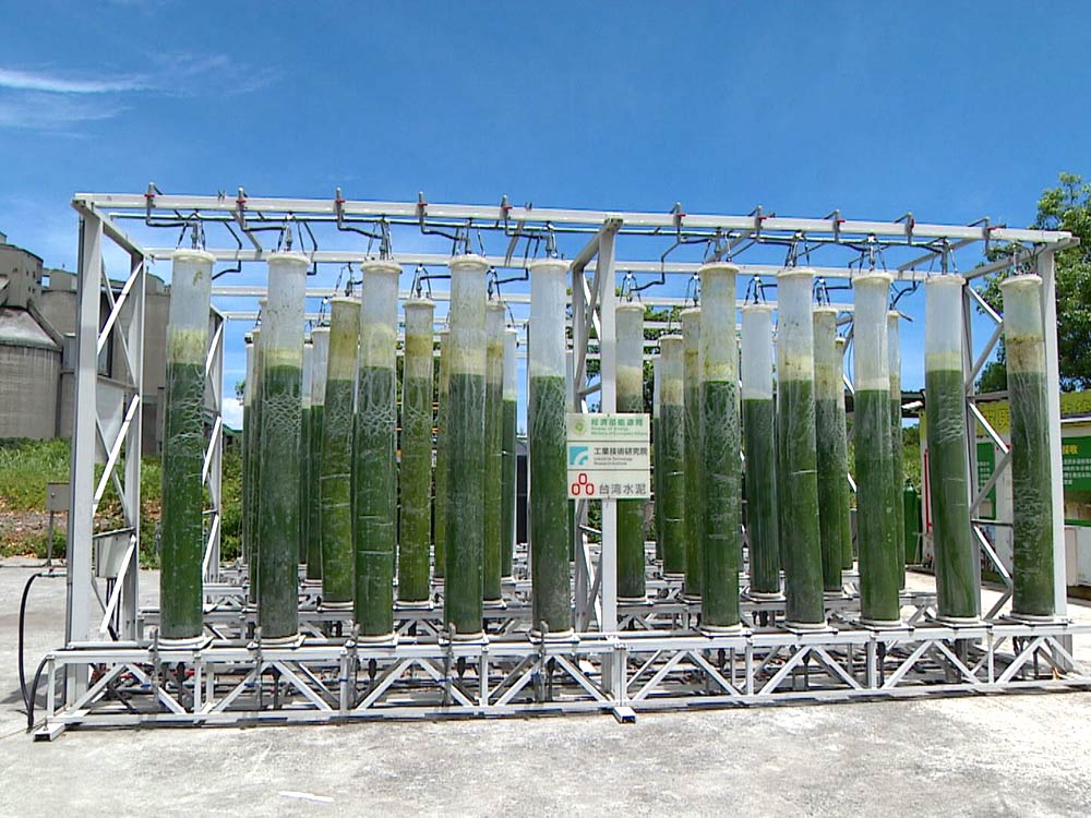 利用海藻來發電或製造生物燃料。